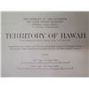 Image 2 : Department of the Interior Territory of Hawaii 1929 Map 40"x26"