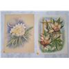 Image 1 : Qty 2 Floral Matrix Prints Circa 1940's by T. Mundorff 14"x18"