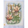 Image 3 : Qty 2 Floral Matrix Prints Circa 1940's by T. Mundorff 14"x18"