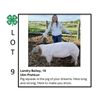 Image 1 : Landry Bailey - Tag #: 44 / Swine