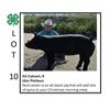 Image 1 : Kit Calvert - Tag #: 6 / Swine