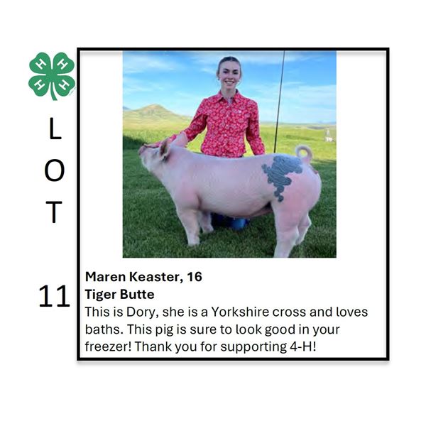 Maren Keaster - Tag #: 25 / Swine