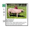 Image 1 : Elly Grossman - Tag #: 47 / Swine