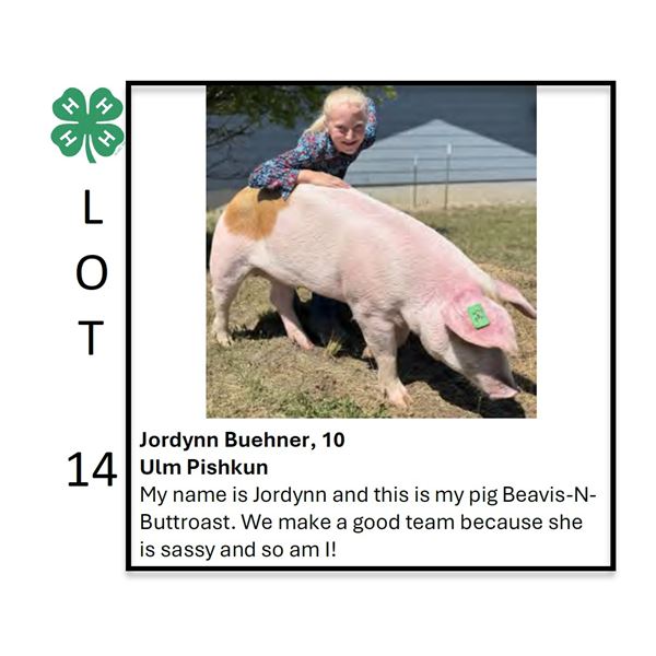 Jordynn Buehner - Tag #: 35 / Swine