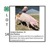 Image 1 : Jordynn Buehner - Tag #: 35 / Swine