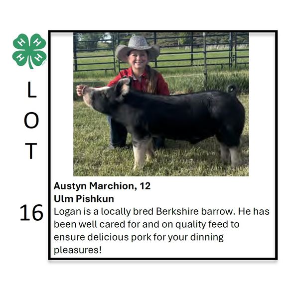 Austyn Marchion - Tag #: 38 / Swine