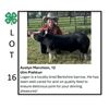 Image 1 : Austyn Marchion - Tag #: 38 / Swine
