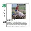 Image 1 : Ava Atkinson - Tag #: 121 / Swine