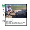 Image 1 : Toren Annis - Tag #: 69 / Swine