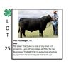 Image 1 : Hal McGregor - Tag #: 16 / Beef