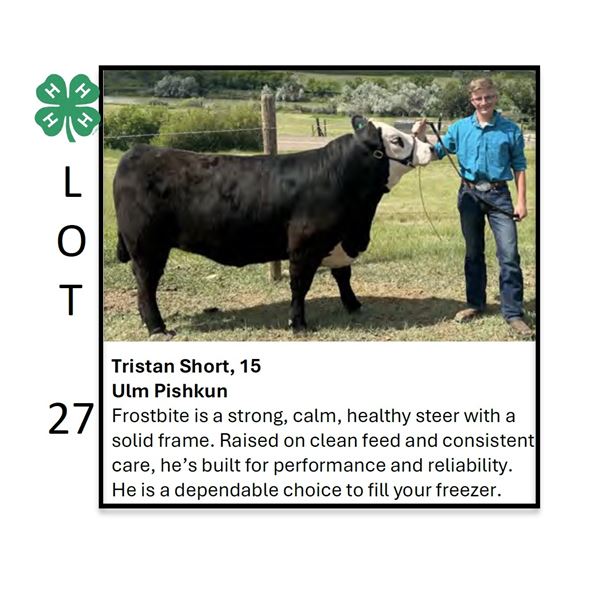Tristan Short - Tag #: 3 / Beef