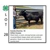 Image 1 : Kandie Chartier - Tag #: 19 / Beef