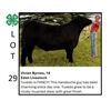 Image 1 : Vivian Byrnes - Tag #: 21 / Beef