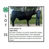 Image 1 : Luke Jassen - Tag #: 35 / Beef