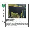 Image 1 : Steven Yuhas - Tag #: 46 / Beef