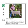 Image 1 : Rayna Ingman - Tag #: 1 / Sheep