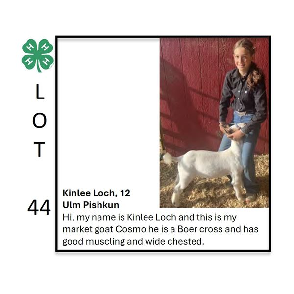 Kinlee Loch - Tag #: 21 / Goat