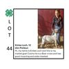 Image 1 : Kinlee Loch - Tag #: 21 / Goat