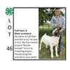 Image 1 : Tuff Hart - Tag #: 33 / Goat