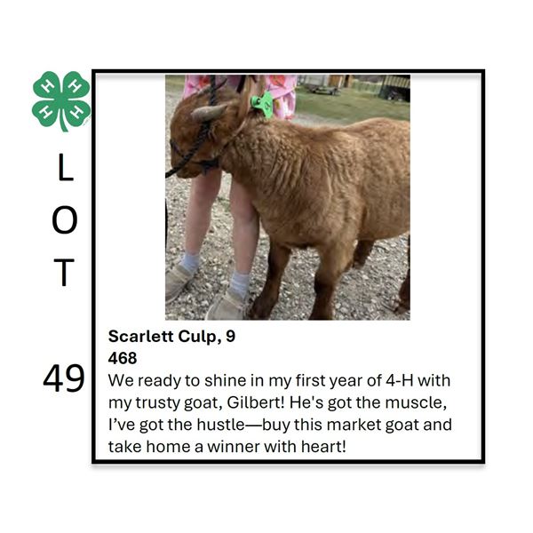 Scarlett Culp - Tag #: 9 / Goat
