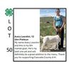 Image 1 : Avery Leardini - Tag #: 4 / Goat