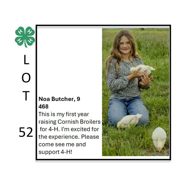 Noa Butcher / Poultry