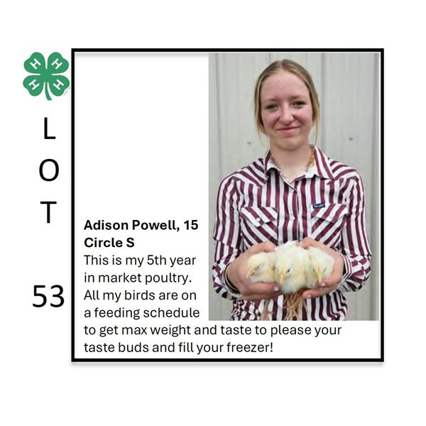 Adison Powell / Poultry
