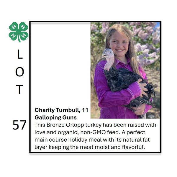 Charity Turnbull / Poultry