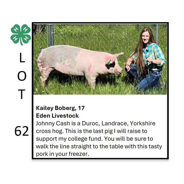 Kailey Boberg - Tag #: 98 / Swine