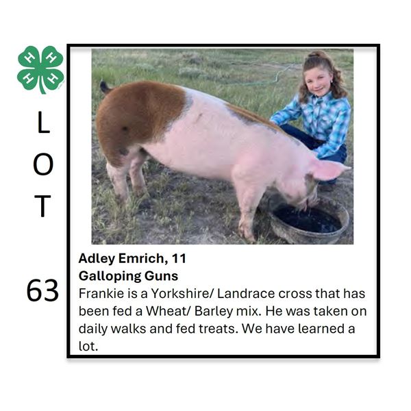 Adley Emrich - Tag #: 100 / Swine
