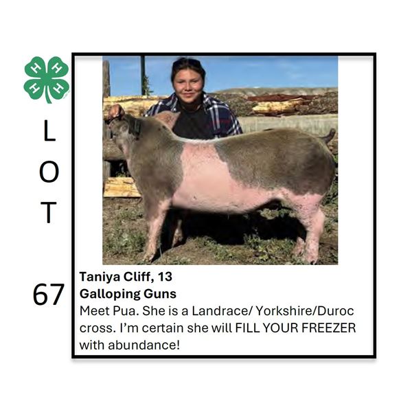 Taniya Cliff - Tag #: 71 / Swine