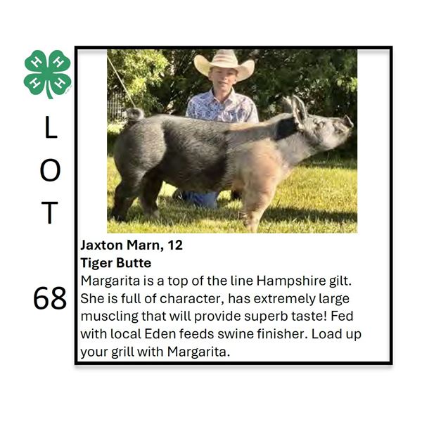 Jaxton Marn - Tag #: 63 / Swine