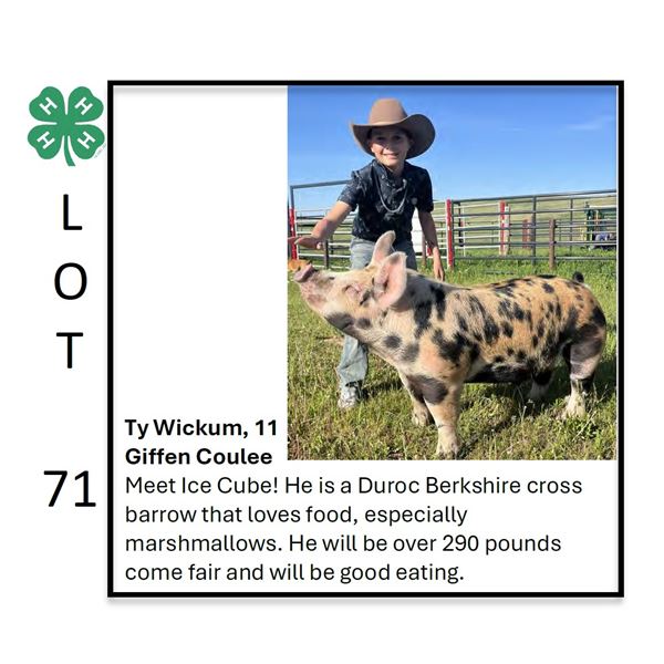 Ty Wickum - Tag #: 16 / Swine