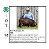 Image 1 : Rial McGregor - Tag #: 123 / Swine