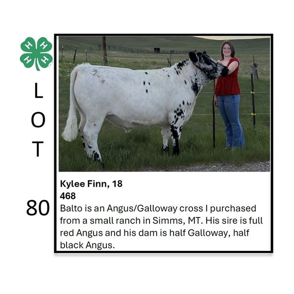 Kylee Finn - Tag #: 36 / Beef