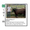 Image 1 : Austin Johnson - Tag #: 38 / Beef
