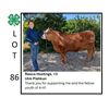 Image 1 : Reece Hastings - Tag #: 9 / Beef