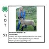 Image 1 : Emerson Hoerner - Tag #: 14 / Sheep
