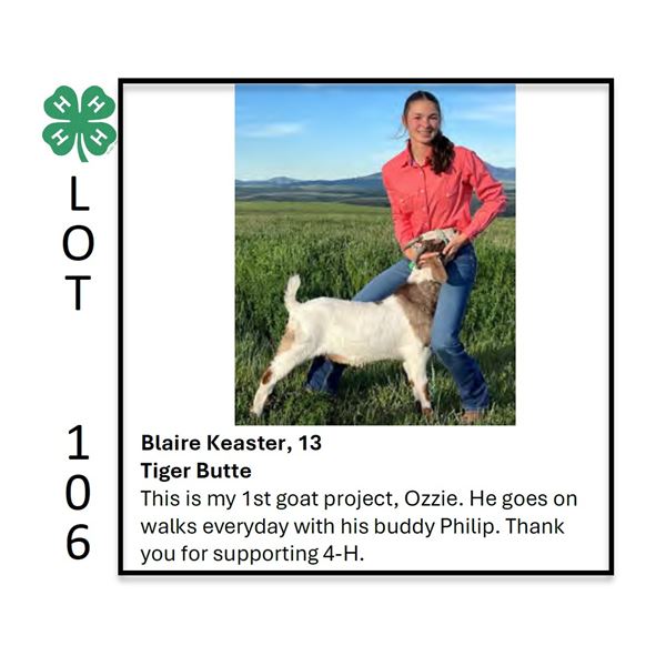 Blaire Keaster - Tag #: 37 / Goat