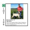 Image 1 : Blaire Keaster - Tag #: 37 / Goat