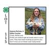 Image 1 : Dakota McCale / Poultry