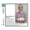 Image 1 : Adison Powell / Poultry