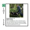 Image 1 : Kinzlee Butler - Tag #: 9 / Swine