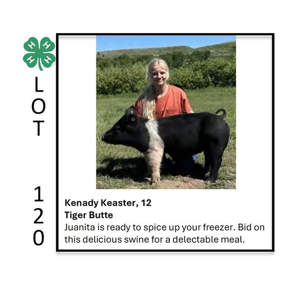 Kenady Keaster - Tag #: 41 / Swine