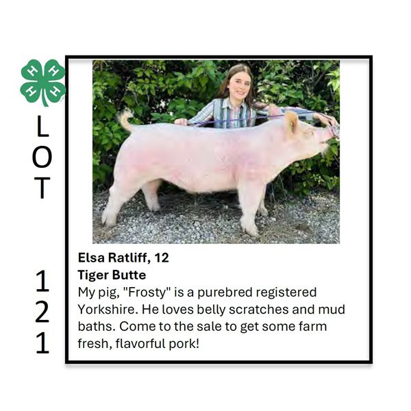 Elsa Ratliff - Tag #: 52 / Swine