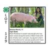 Image 1 : Silvana Morris - Tag #: 108 / Swine