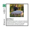 Image 1 : Luke Kelley - Tag #: 60 / Swine