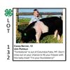 Image 1 : Casey Berner - Tag #: 34 / Swine