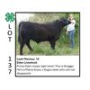 Image 1 : Leah Mackey - Tag #: 27 / Beef