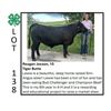 Image 1 : Reagan Jassen - Tag #: 33 / Beef